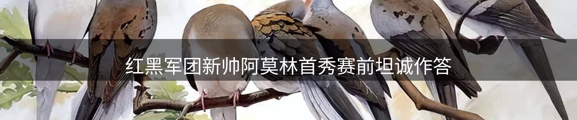 最新资讯